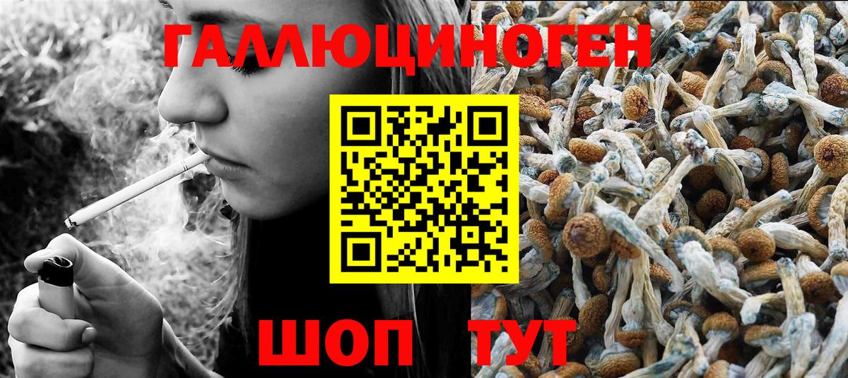 Троицк  Псилоцибиновые грибы Cubensis  Вход с VPN 