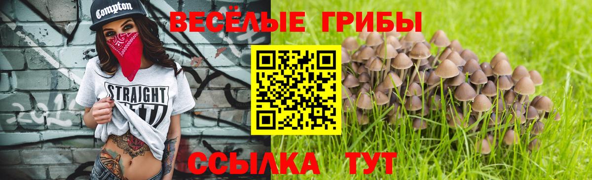 Псилоцибиновые грибы MAGIC MUSHROOMS Троицк